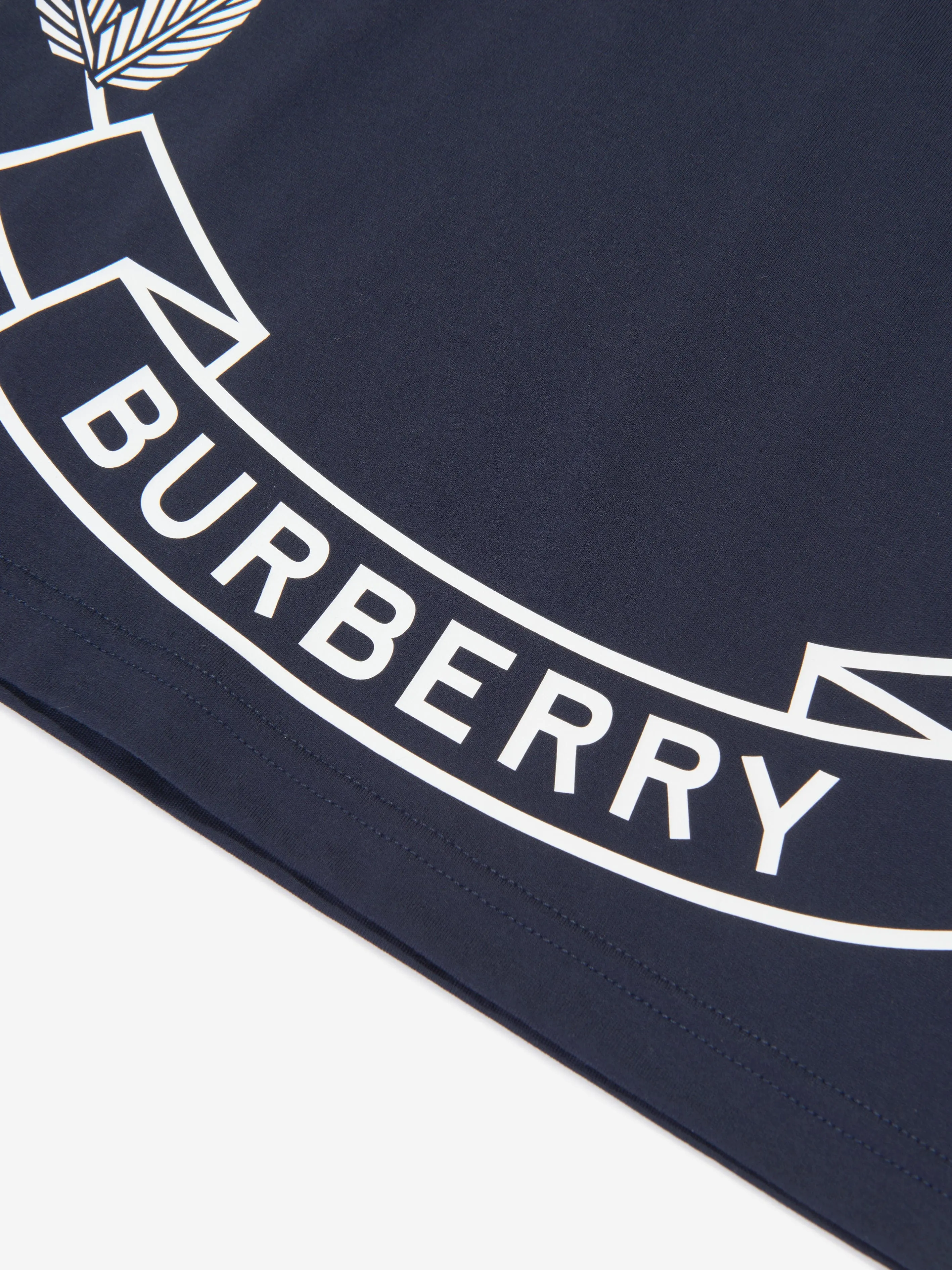 Burberry Boys Crest Print T-Shirt in Blue