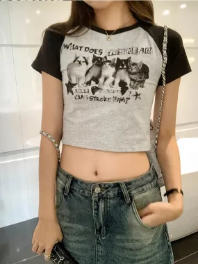 Harajuku Streetwear Aesthetic Short Sleeve Tee