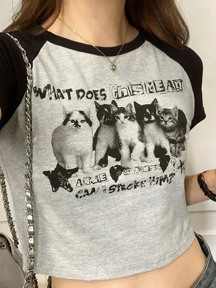 Harajuku Streetwear Aesthetic Short Sleeve Tee