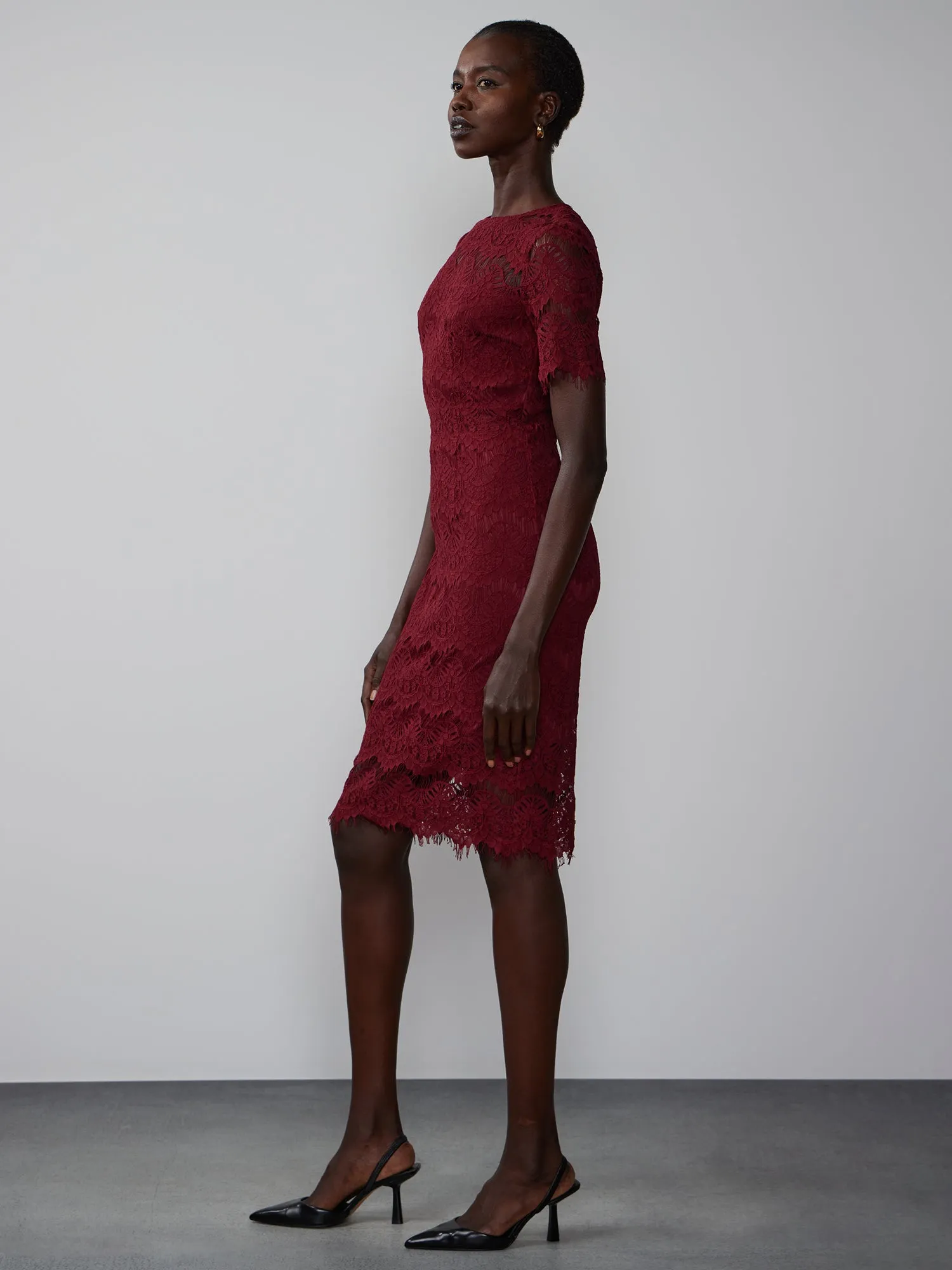 Short Sleeve Scallop Lace Dress