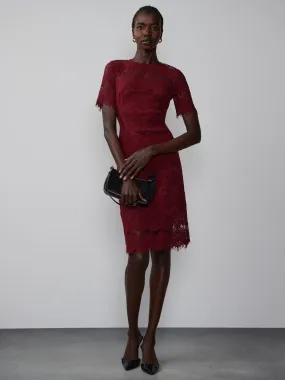 Short Sleeve Scallop Lace Dress