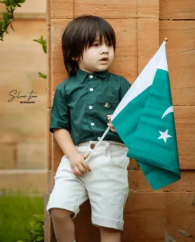 THE GREEN AND WHITE